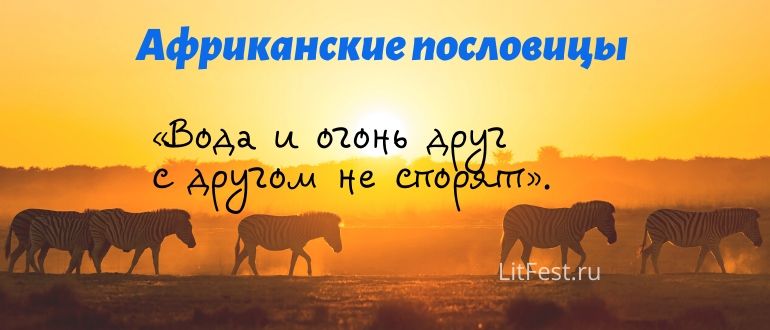Похо торо моронго что значит