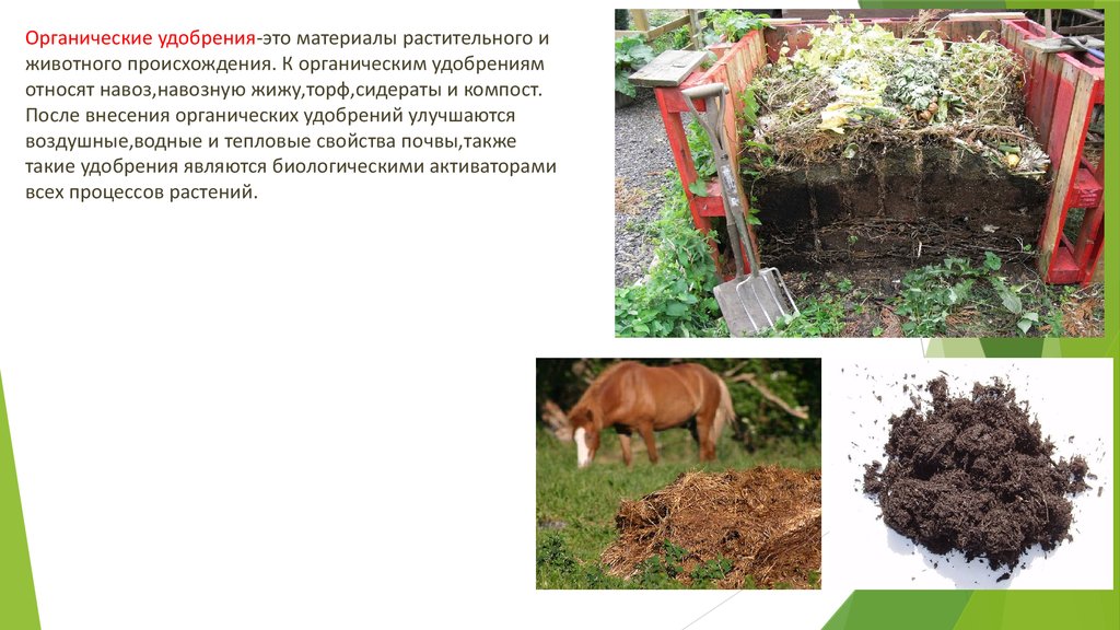 Подкормка из куриного помёта: как, когда и под какие культуры