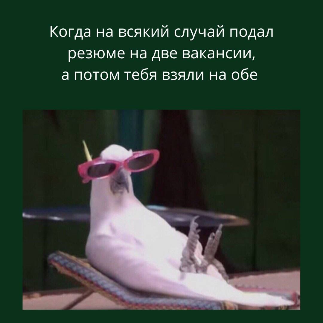 Кто грустит, тот трансвестит: раскрытие смысла и значения термина