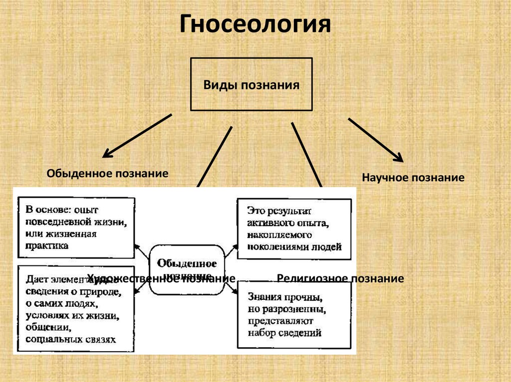 Что такое знание в философии: определение и сущность