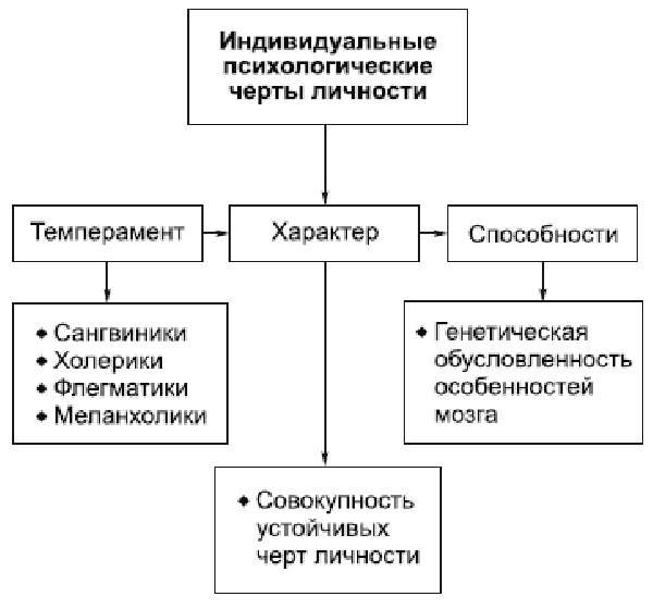 Типы темперамента и их характеристика