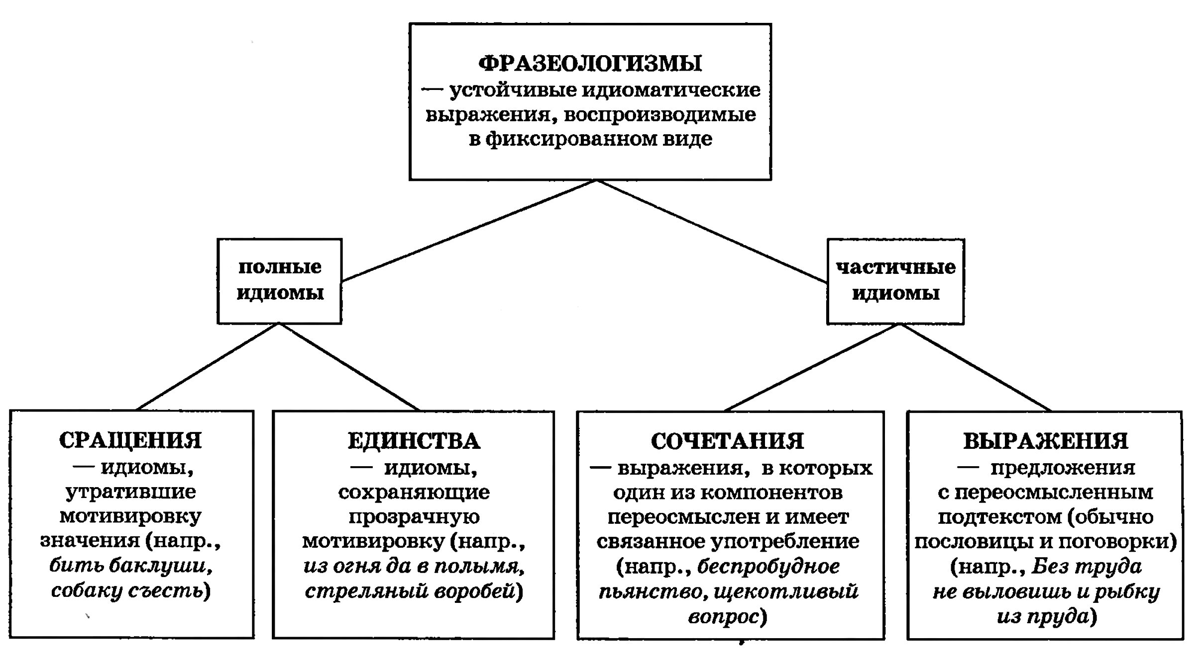 Современные фразеологизмы: значение и использование в нашей речи