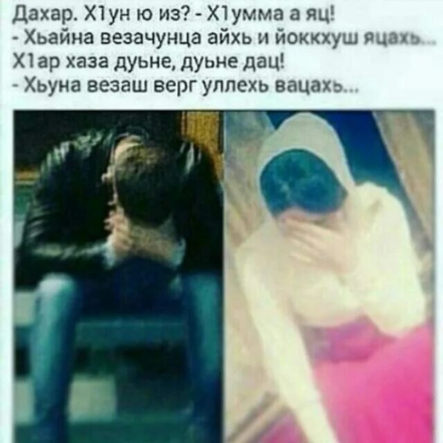 Все, что нужно знать о значении слова «нохчи»