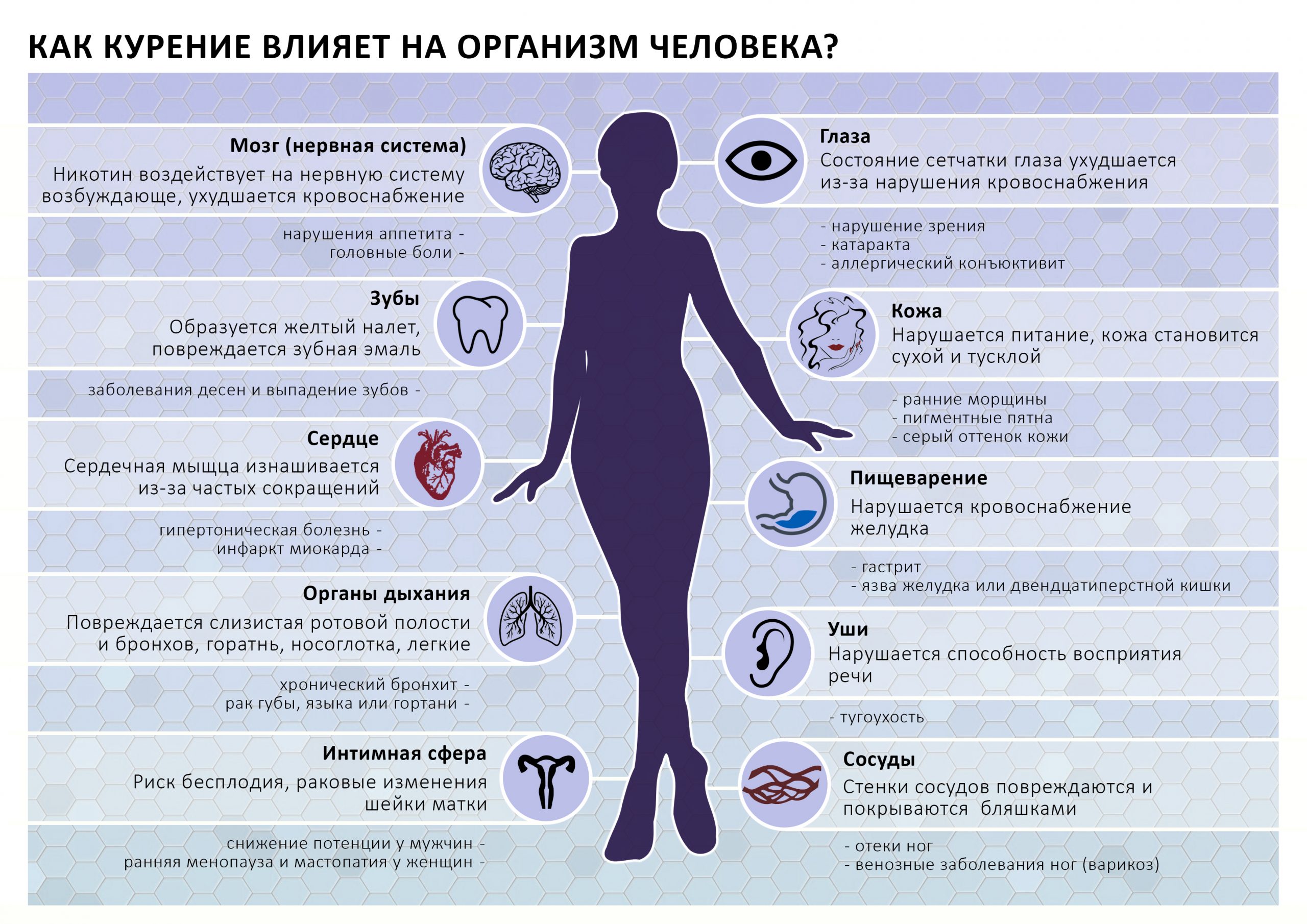 Что такое пылкий нрав
