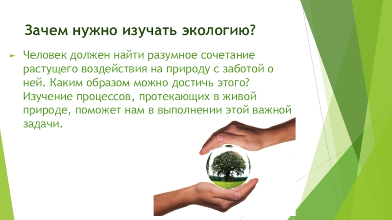 Значение экологии: характеристика и многое другое | renovables verdes