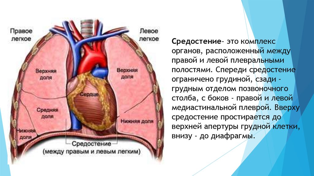 Лечение туберкулеза в москве рядом со мной на карте, цены - пройти лечение туберкулеза: 985 медицинских центров с адресами, отзывами и рейтингом - zoon.ru