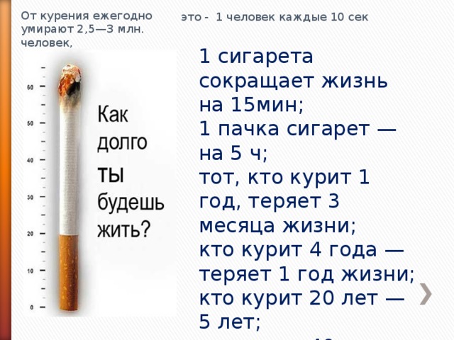 Презентация по русскому языку и истории на тему цыганская культура 7-8 класс  доклад, проект