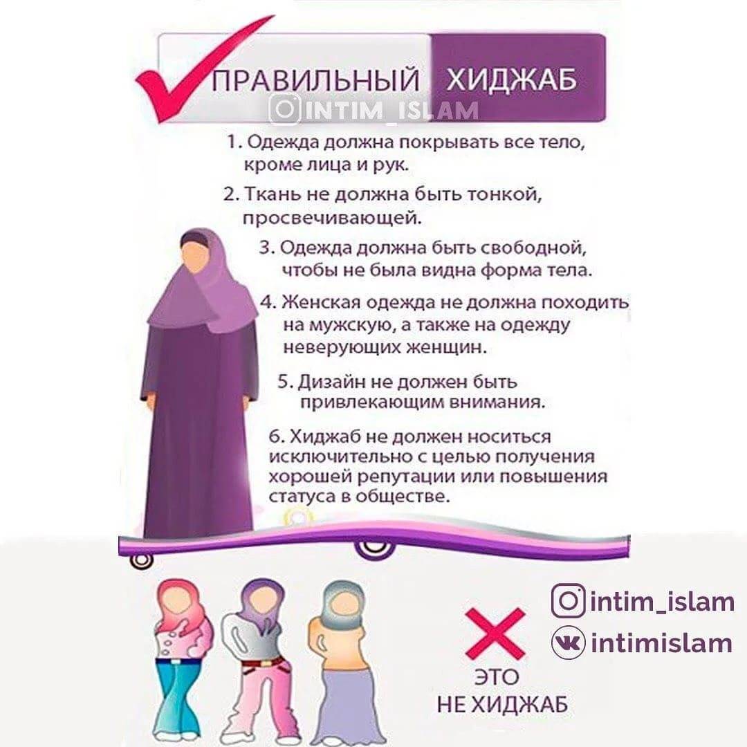 Что сказано о хиджабе в коране — хадисы и суры