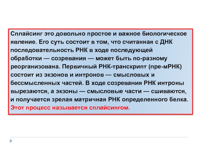 Узнайте, что означают биологические явления природы и как они влияют на нашу жизнь