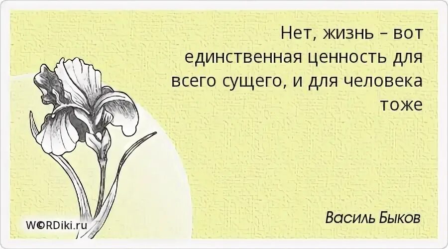 Не очень уверенно никем не найденные. Книги просвещают душу. Мелкие людишки цитаты. Человек с благими намерениями.