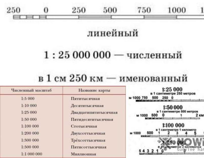 Виды масштаба и его расчет с помощью калькулятора онлайн