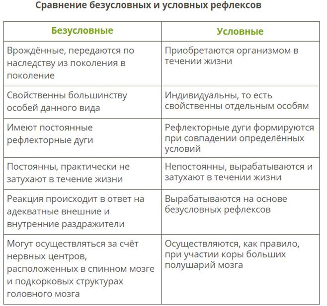 Общая характеристика деятельности