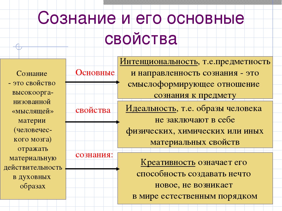 Общественное  сознание: что означает термин в социологии, различные формы, структура