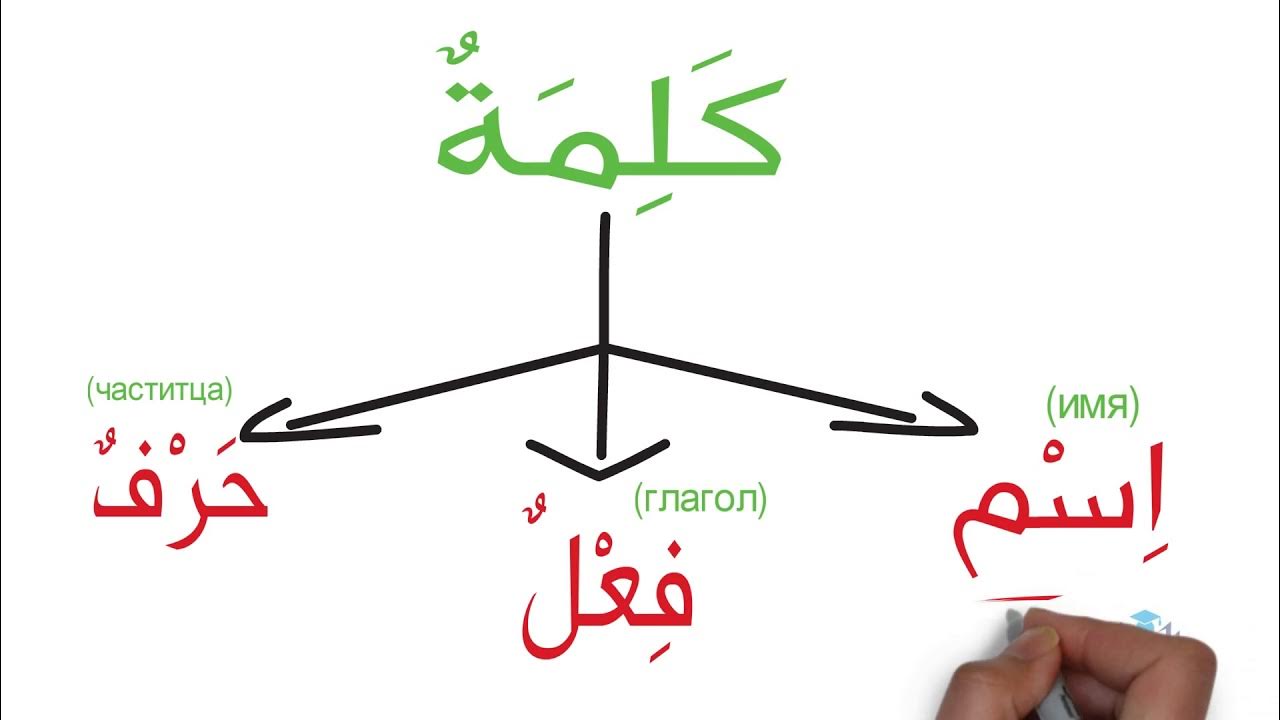Шейхи в оаэ