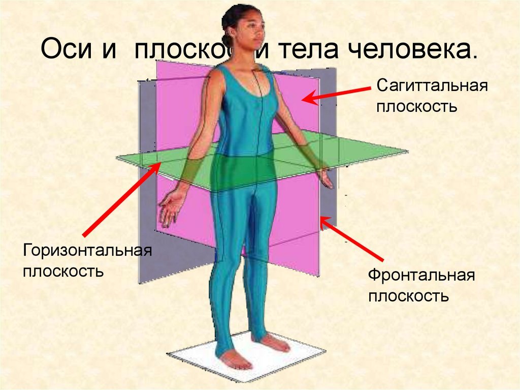 Что такое фронтальная арматура: основные понятия и применение