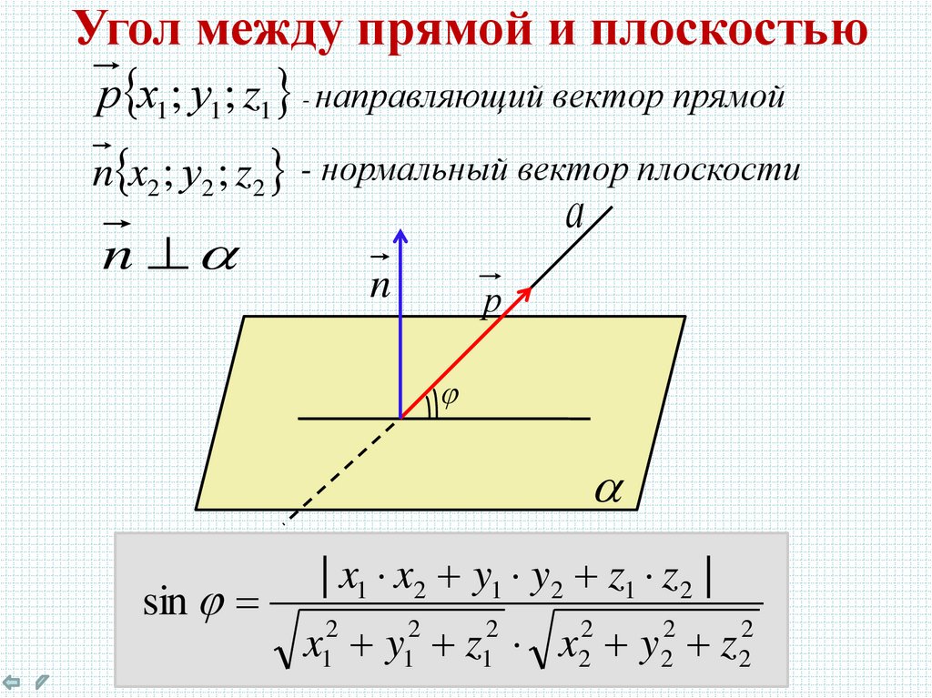 Плоскость, прямая, луч: теория, примеры, упражнения | 5 класс