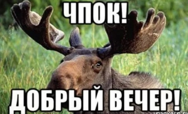 Значение и происхождение слова "чпокнуть"