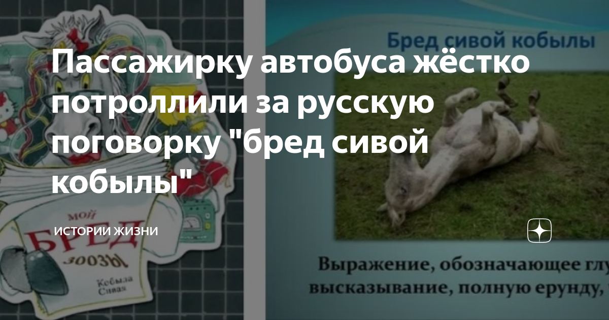 Значение и происхождение фразы «красивая как корова сивая»