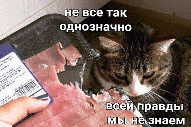 Плывите сосиски мем что значит