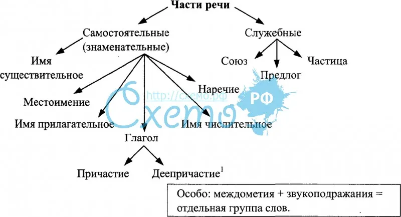 Изменяемые и неизменяемые лексемы.