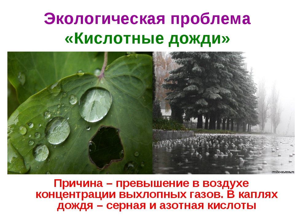 Накаляя атмосферу - что такое и зачем нужны эмоциональные манеры в общении? - oboiduvse.ru