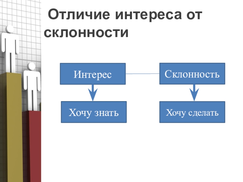 Скилы что это - white inet