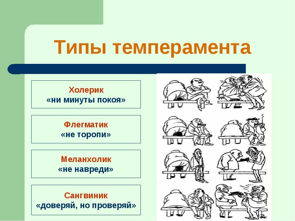 Легенды и реальные истории про снежного человека