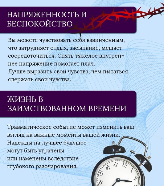 Нравственные принципы примеры из обществознания. моральные нормы, моральные принципы, нравственные идеалы