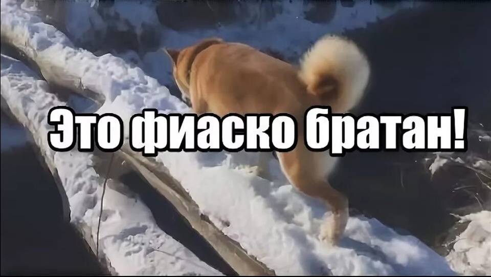 Что такое фиаско - история термина, значение, причины