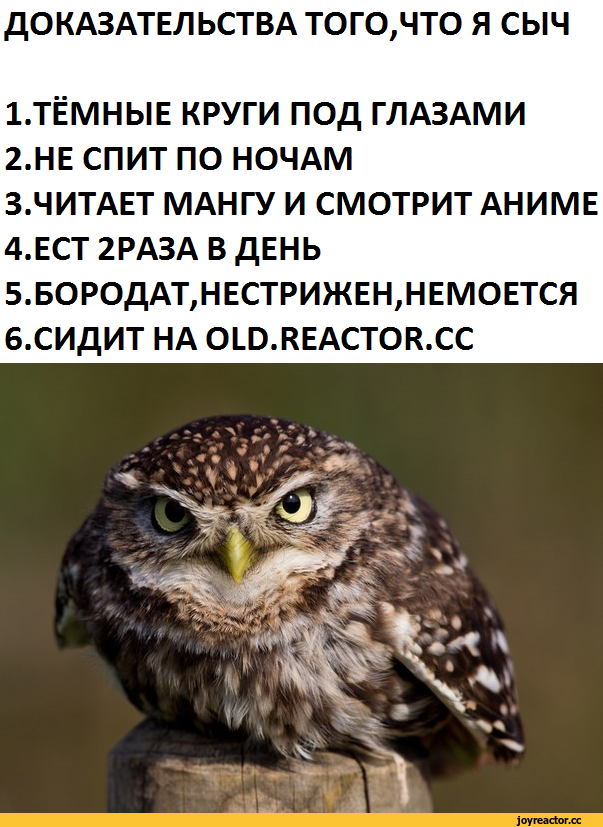 Сидит как сыч: что это означает и как разобраться с проблемой
