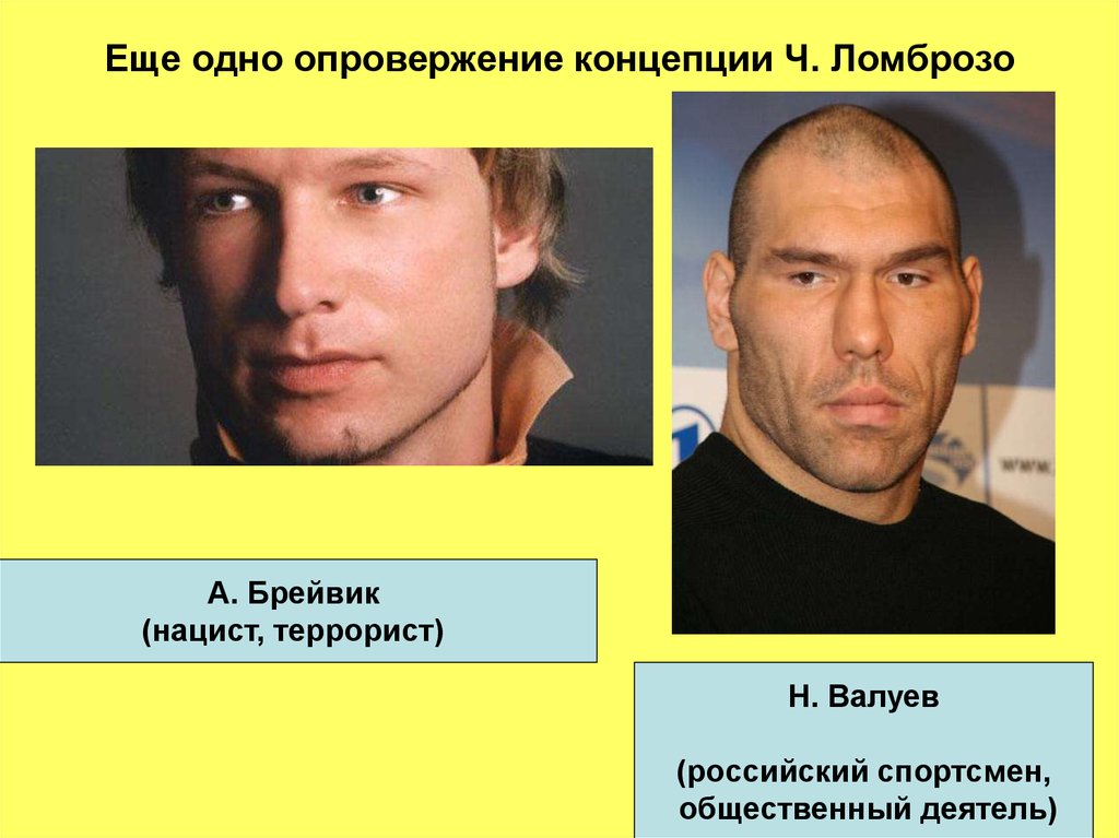 Что такое криминальная деятельность: определение, виды и последствия