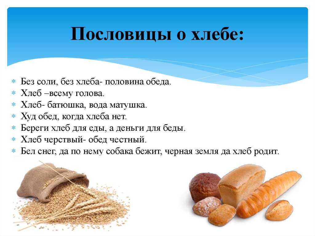Тайна поговорки «висело мочало начинай сначала» раскрыта: что она означает? раскрываем секретную тайну