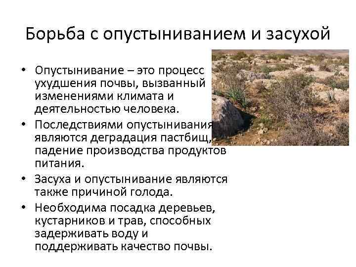 Как понять, что вы находитесь в засухе