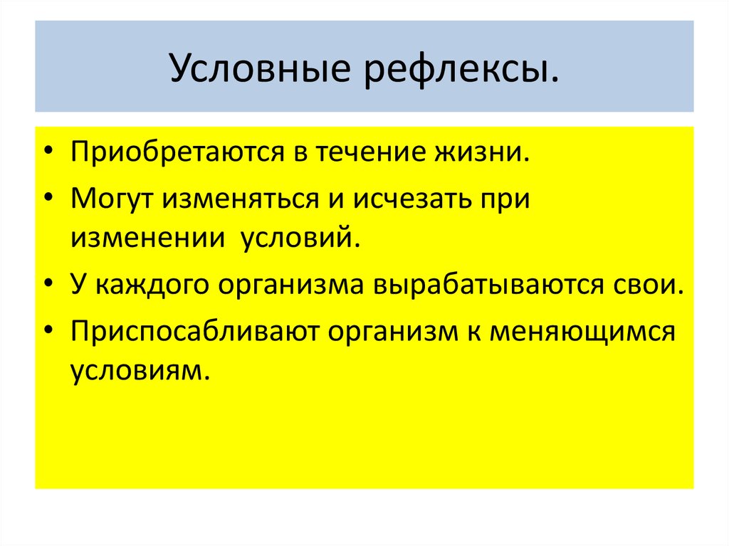 Условный характер деятельности: суть и основные понятия