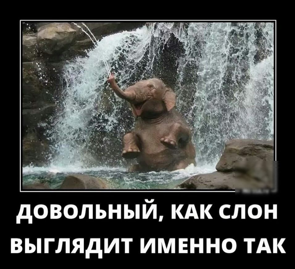 Фразеологизмы - значение и происхождение, примеры