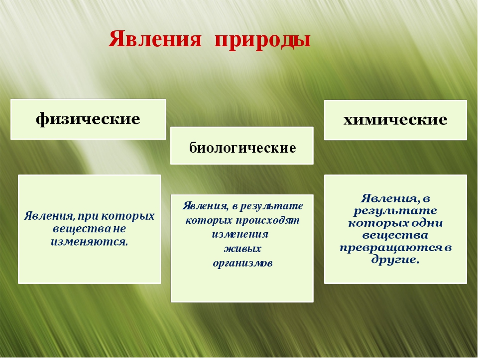 Манямирок - это слово, которое пришло из мира детского жаргона Оно используется для обозначения предмета или явления, которое вызывает интерес и желание
