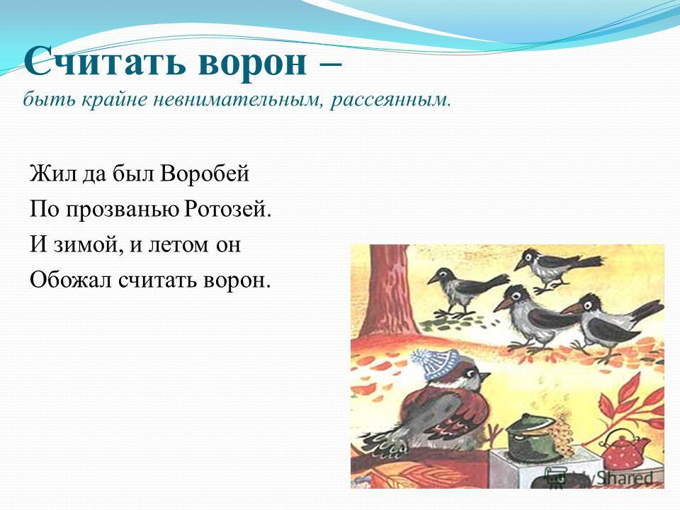 Что значит «ни пава, ни ворона» фразеологизм