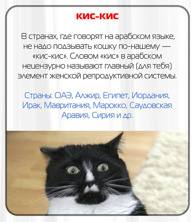 Что такое слово пидр: значение и происхождение