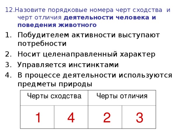 Различия и сходства: в чем заключается сущность одинакового? - sprosiuznai.ru