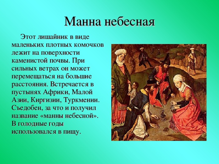 Мэх: значение слова в современной молодежной речи. понятие "мэх" в жаргоне молодежи.