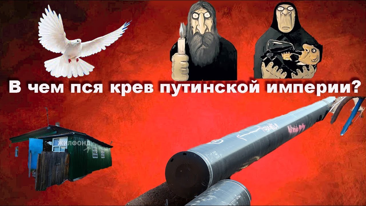 Что значит польское пся крев: история и значение выражения