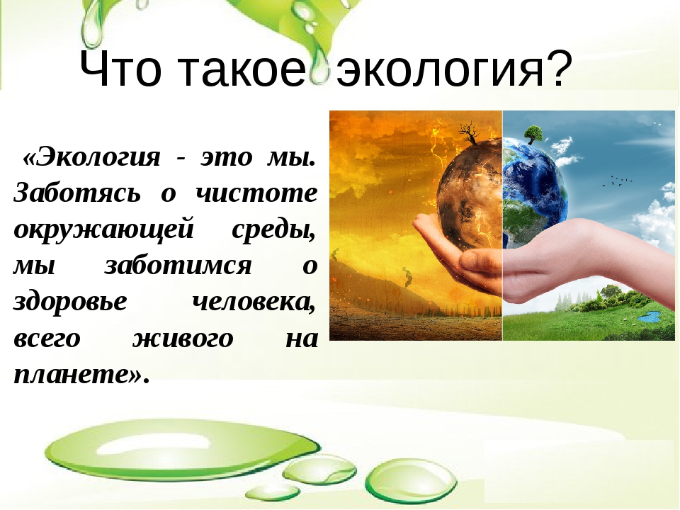 Самкова в.а. из истории зарождения и развития экологии