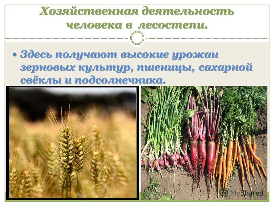 Хозяйственная деятельность человека - понятие, обшая характеристика основных видов