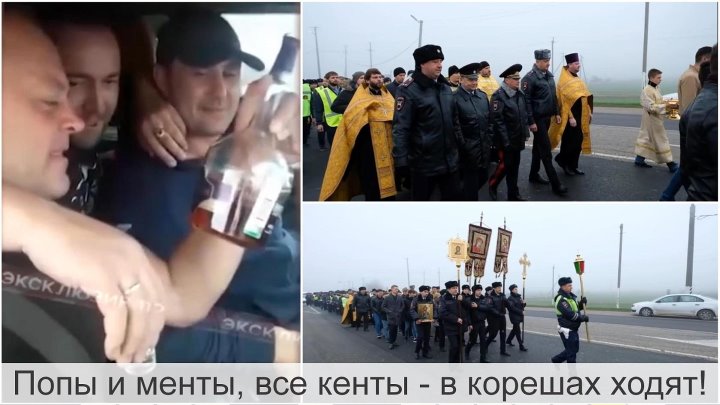 Поговорка мент гаишнику не кент