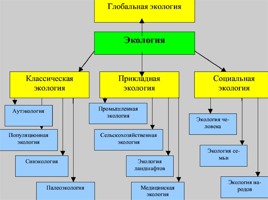 Окружающий мир 3 класс 1 часть. что такое экология стр. 24 – 28