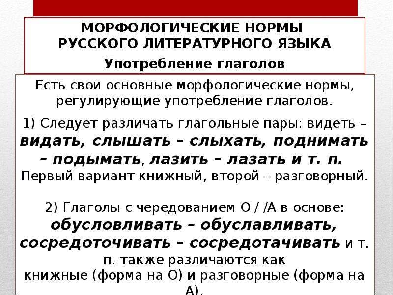Морфология что изучает, обзор, история, перспективы, обучение, востребованность - мир информации
