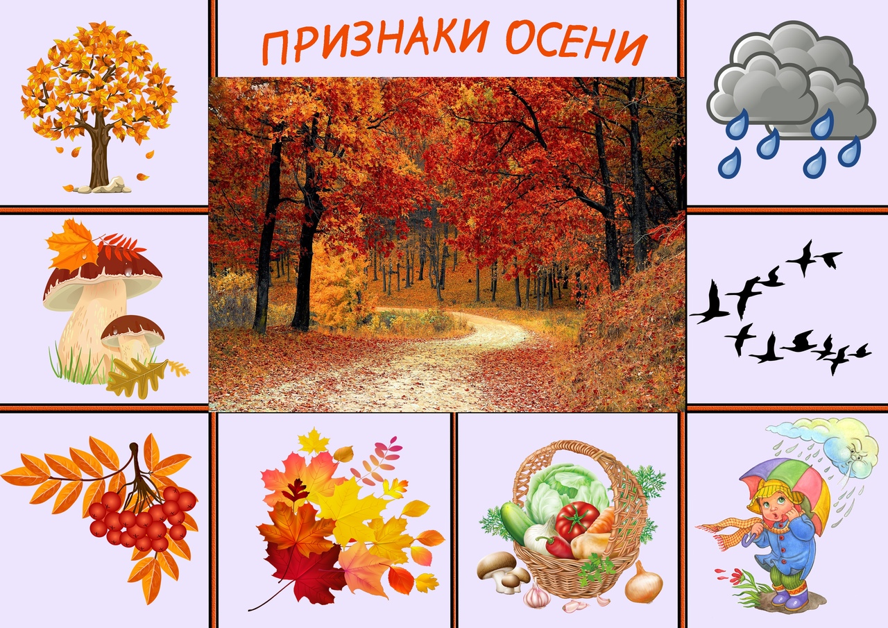Wonder wild world : осень