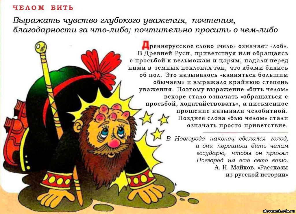 Что такое мясо на сленге?