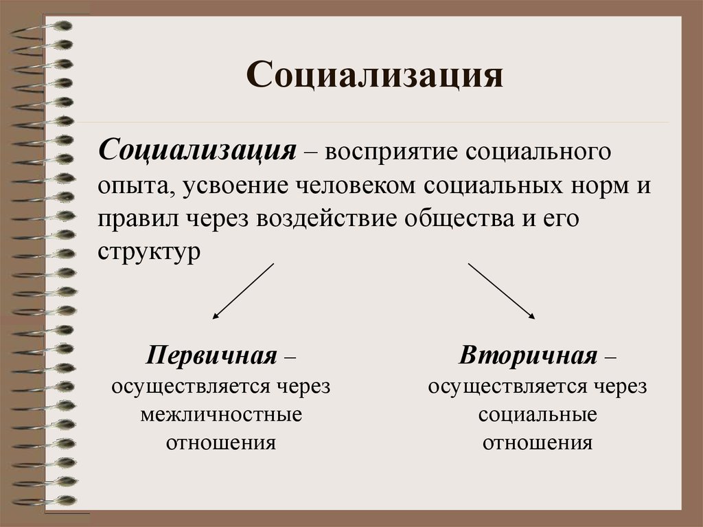 «второе плавание» платона : или человек – понятие элитарное