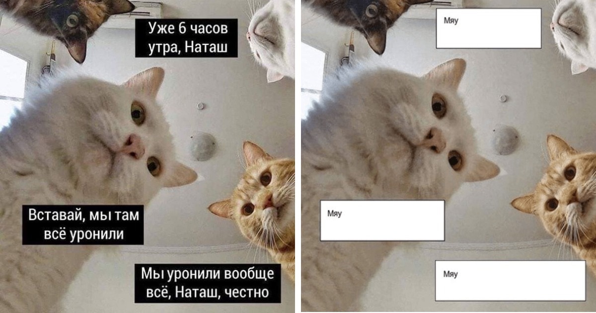 Плывите сосиски — один из самых популярных мемов в русскоязычном интернете Это выражение используется для описания ситуации, когда сотрудники или члены